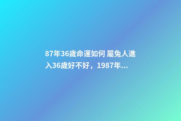 87年36歲命運如何 屬兔人進入36歲好不好，1987年屬兔人最旺的年齡-第1張-觀點-玄機派